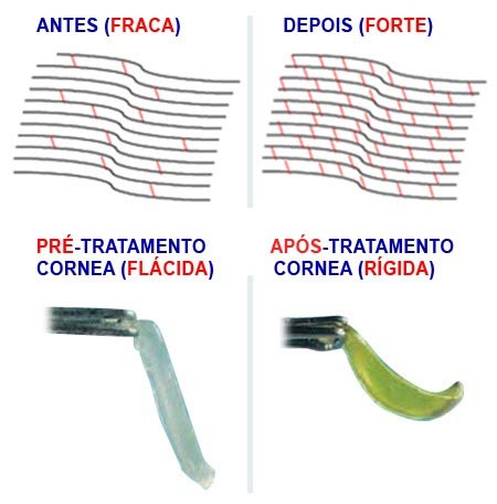 Crosslinking